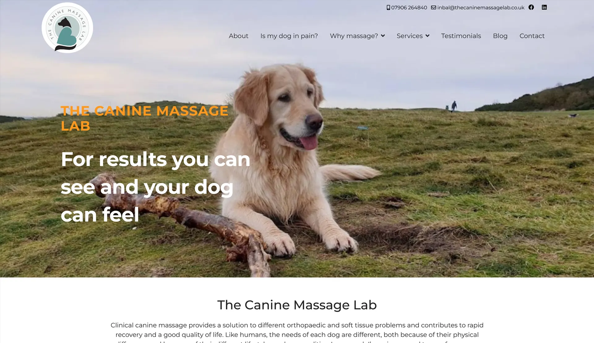 The Canine Massage Lab